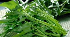 Những người mắc 3 loại bệnh này nên cẩn thận khi ăn rau muống
