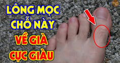 4 vị trí mọc lông Trời Cho Lộc Lớn, mở cửa đón Tiền Tài