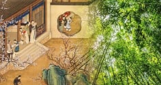 Ông bà dặn: 3 cây này dù nghèo đến mấy cũng đừng chặt, giữ cây là giữ lộc, con cháu được bảo vệ