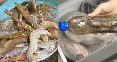 3 mẹo bảo quản tôm tươi lâu, để cả năm vẫn chắc và ngọt thịt