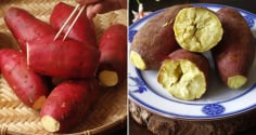 Mẹo luộc khoai lang siêu nhanh của người Nhật, khoai chín bở, ngọt lừ