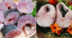 Vì sao cá thường có mùi tanh? Nhiều người chưa biết nguyên nhân thật sự