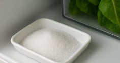 Nắm muối nhỏ, lợi ích to: Mẹo đơn giản giúp tủ lạnh sạch thơm, tiết kiệm điện