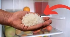 Đặt 1 nắm muối vào tủ lạnh: Công dụng 'vàng' nhà nào cũng rất cần