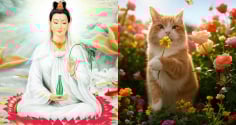 Hoa Rơi Cửa Phật: 3 tuổi Quan Thế Âm Độ Mạng, tháng 7 Trúng Số, tháng 8 Tiền Về Như Nước