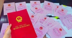 4 quy định về việc cấp Sổ đỏ từ tháng 7/2025: Ai không biết là mất quyền lợi