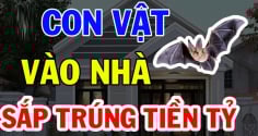 4 con vật Đệ Tử Thần Tài Vào Nhà Trúng Số Phát Tài: Giàu có sau 1 đêm