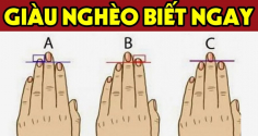 Nhìn tướng tay 3 giây biết tương lai bạn thành Phượng Hoàng giàu có hay nô tì mãi mãi: Chuẩn hơn nhìn mặt