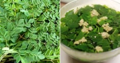 Loại rau có lượng canxi cao gấp 4 lần sữa, thường bị nhầm với rau ngót: Đem nấu canh vừa ngon vừa bổ