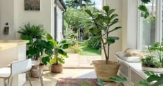 3 'thấy' điều này ở ngay lối vào nhà, chứng tỏ ngôi nhà vượng khí, nơi đón khí trời, tụ phúc, giữ lộc