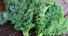 Những loại rau này giàu canxi mà nhiều người không ngờ tới