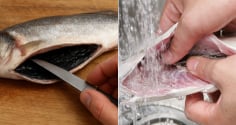 Vì sao phải cạo sạch lớp màng đen trong bụng cá trước khi nấu?