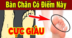 Tướng bàn chân giàu có 3 đời