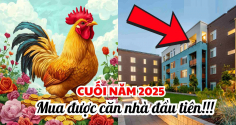Cung Điền Trạch đã mở, 4 con giáp sở hữu căn nhà đầu tiên trong 3 tháng tới