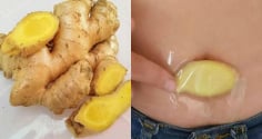 Thường xuyên đắp gừng lên rốn trước khi ngủ, cơ thể có 4 thay đổi bất ngờ