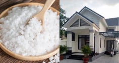 Đầu năm đặt muối ở vị trí này trong nhà, gia chủ công việc thuận lợi, làm đâu thắng đó