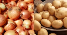 Vì sao không được để khoai tây chung với hành tây?