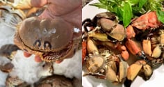 Cúm núm Quảng Ngãi: Đặc sản cua lạ “nhỏ mà ngon”, ai ăn thử cũng nhớ