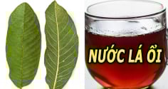 5 người nên thường xuyên uống nước lá ổi