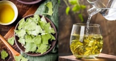 Uống nước lá sen, cơ thể nhận được 4 loại ích tuyệt vời