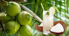 5 người không nên uống nước dừa: Càng uống càng sinh bệnh
