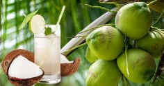 2 thời điểm uống nước dừa giúp giảm cân, giảm mỡ bụng