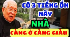 Nhà có 3 tiếng ồn này càng ở àng giàu có: Đó là âm thanh gì?