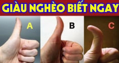 Người có tướng tay này: Cả đời giàu sang phú quý