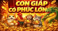 Sáng Chủ Nhật ngày 10/5: 4 tuổi Lộc Lên-Tiền Đến, nằm duỗi có ăn