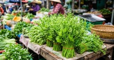 Bác sĩ Đông y gợi ý loại rau nên ăn mùa nóng: Ít calo, giàu khoáng chất, hợp cả người bị gút