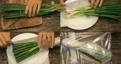 Hành lá mua về rất nhanh hỏng: Chỉ cần ngâm qua nước này, hành vẫn xanh mướt cả tháng như mới mua
