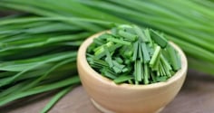 Loại rau dân dã nhiều người chê ví như “trợ thủ vàng” của sức khỏe với 5 lợi ích tốt hơn cả thần dược