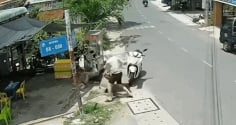 Cô gái TPHCM bị cuốn tay vào máy ép nước mía, cảnh báo nguy hiểm