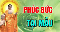 3 kiểu cha mẹ để ại phúo báo cho con: Đó là kiểu nào?