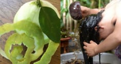 Cách gội đầu bằng vỏ bưởi trị rụng tóc, kích thích tóc mọc nhanh lại suôn mượt, sạch gàu