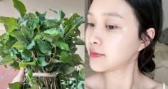 Cách dùng rau diếp cá thu nhỏ lỗ chân lông, da trắng hồng, mờ thâm