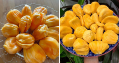 5 người tuyệt đối không nên ăn quả mít dù thèm đến mấy