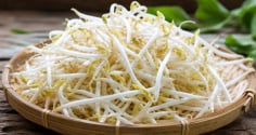 Cách phân biệt giá đỗ có nguy cơ nhiễm hoá chất