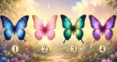 Quiz: Chọn 1 cánh bướm để khám phá sự thay đổi sắp xảy ra với bạn