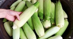 Luộc ngô đừng vội bóc sạch vỏ: Cho thêm thứ này vào nồi, ngô ngọt lịm mọng nước