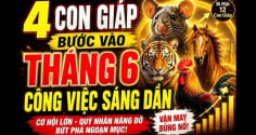 Chúc mừng 4 con giáp nhận tin tốt công việc xuôi thuận