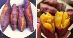 Khung giờ ăn khoai lang giảm cân nhanh nhất