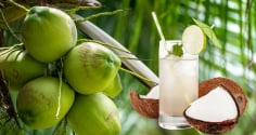 Nước dừa có phải bí quyết làm đẹp da?