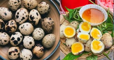 Trứng cút nhỏ nhưng có 9 lợi ích sức khỏe bất ngờ, nhiều người chưa biết