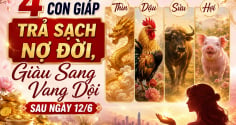 4 con giáp Trả Sạch Nợ Đời, Giàu Sang Vang Dội sau ngày 12/6