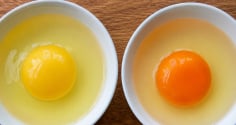 Lòng đỏ trứng càng đậm màu có phải càng bổ không?