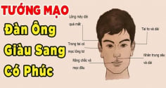 4 tướng đàn ông tài ba xuất chúng: Càng già càng giàu có