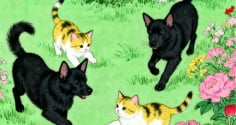 Nửa cuối tháng 6: 3 con giáp ra đường nên giữ bình tĩnh, tranh cãi nhỏ có thể kéo theo rắc rối lớn