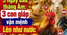 5 ngày đầu tháng Âm: 3 con giáp vận mệnh Lên như nước
