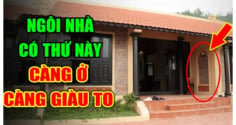 Trong nhà có 3 dấu hiệu này điềm báo may mắn: Gia chủ Trúng số giàu to